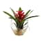 8" Red Tropical Bromeliad Arrangement in Angled Vase